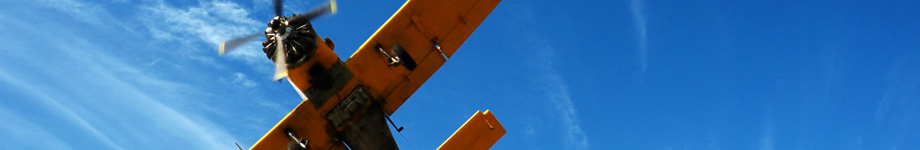 gpepe.com Rotating Header Image